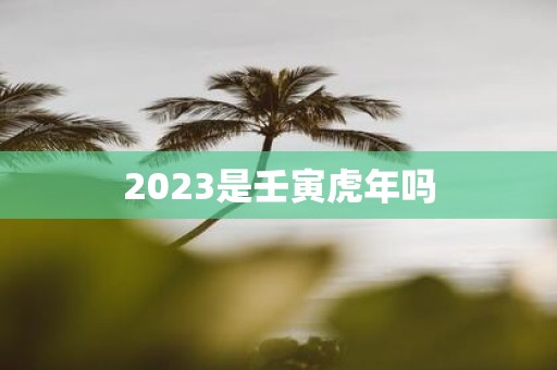 2025是壬寅虎年吗