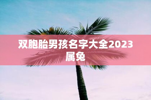 双胞胎男孩名字大全2025属兔