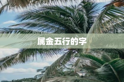 属金五行的字