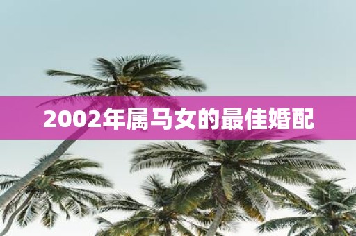 2002年属马女的最佳婚配