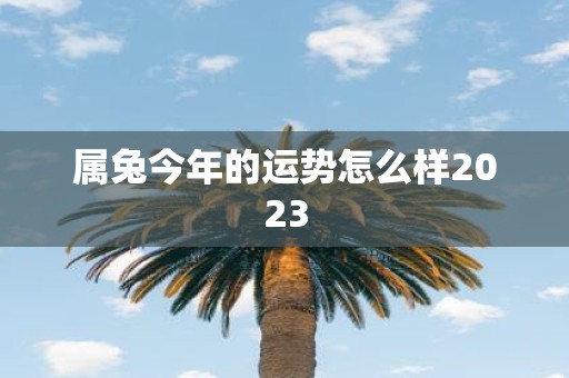 属兔今年的运势怎么样2025