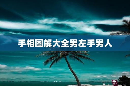 手相图解大全男左手男人
