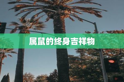 属鼠的终身吉祥物