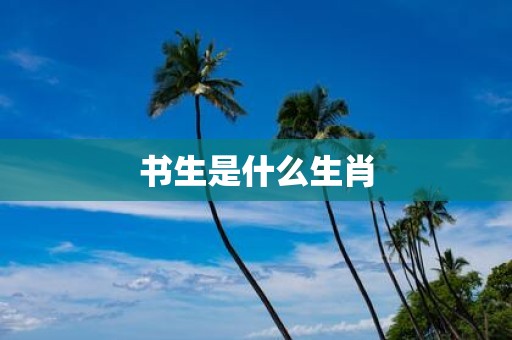 书生是什么生肖