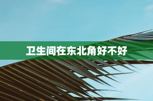 卫生间在东北角好不好