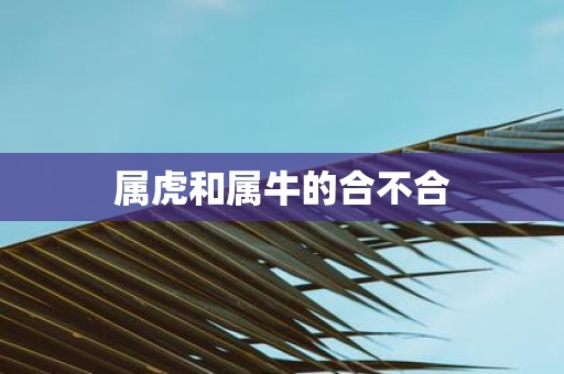 属虎和属牛的合不合
