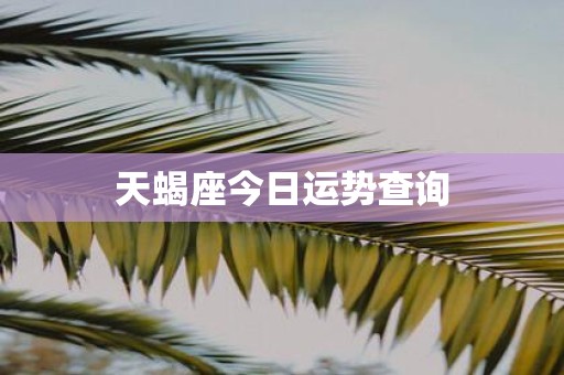 天蝎座今日运势查询