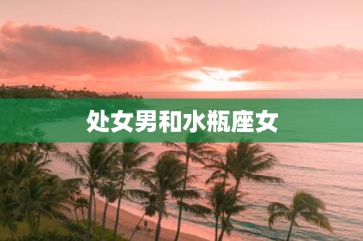 处女男和水瓶座女