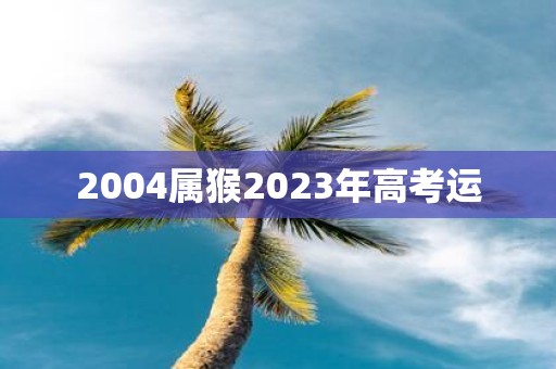 2004属猴2025年高考运