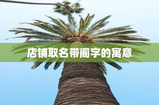 店铺取名带阁字的寓意
