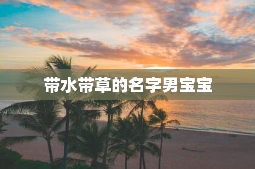 带水带草的名字男宝宝
