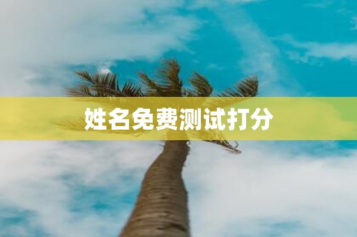 姓名免费测试打分