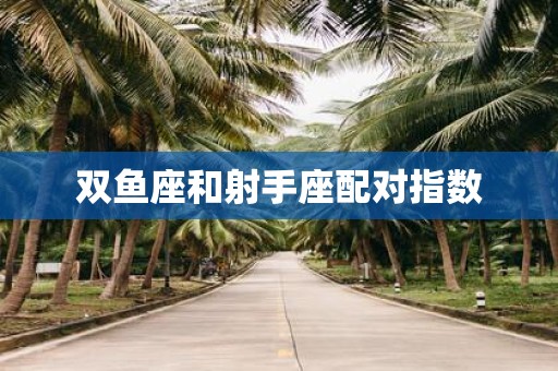 双鱼座和射手座配对指数