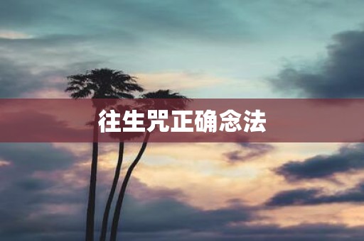 往生咒正确念法