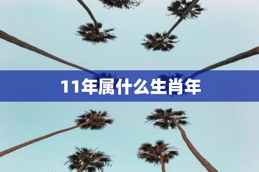 11年属什么生肖年