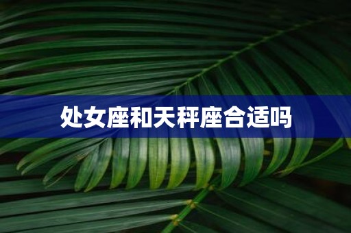 处女座和天秤座合适吗