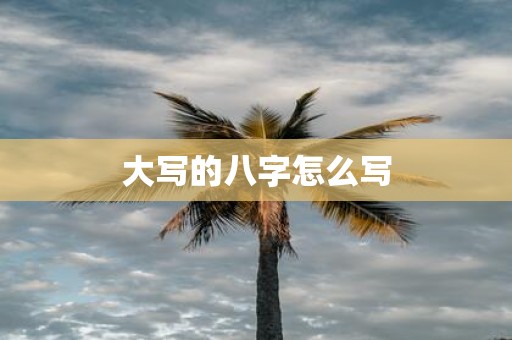 大写的八字怎么写