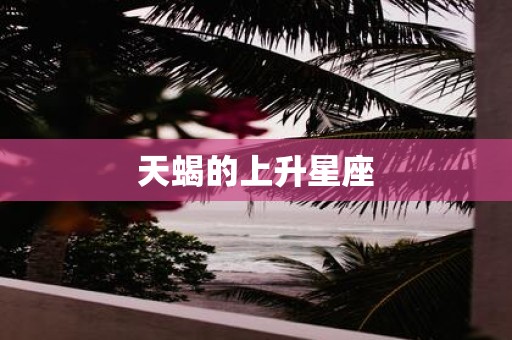 天蝎的上升星座