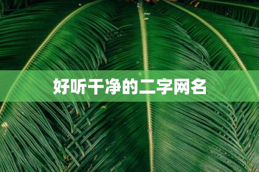 好听干净的二字网名
