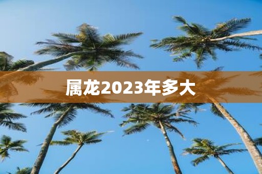 属龙2025年多大