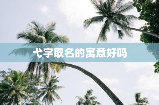 弋字取名的寓意好吗