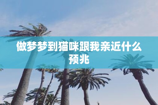 做梦梦到猫咪跟我亲近什么预兆