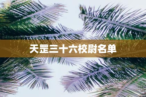 天罡三十六校尉名单