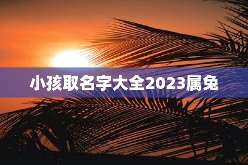 小孩取名字大全2025属兔