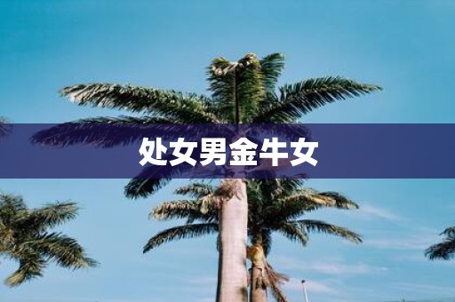 处女男金牛女