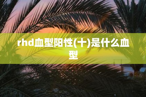 rhd血型阳性(十)是什么血型