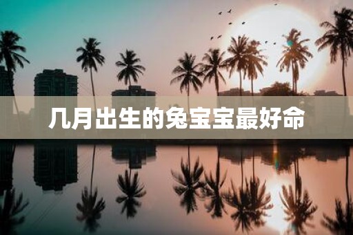 几月出生的兔宝宝最好命