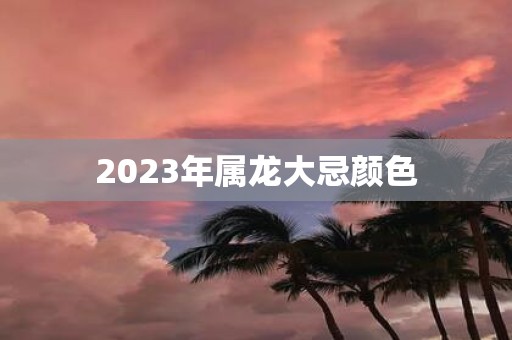 2025年属龙大忌颜色