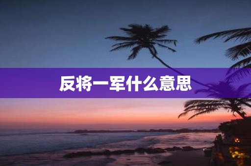 反将一军什么意思