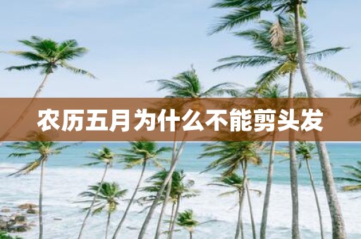 农历五月为什么不能剪头发