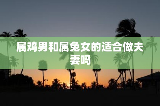 属鸡男和属兔女的适合做夫妻吗