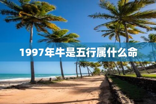 1997年牛是五行属什么命