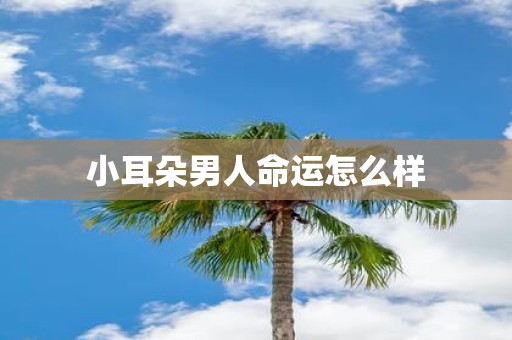 小耳朵男人命运怎么样