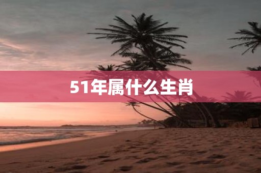 51年属什么生肖
