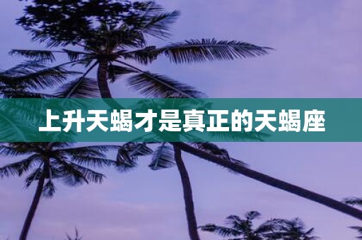 上升天蝎才是真正的天蝎座