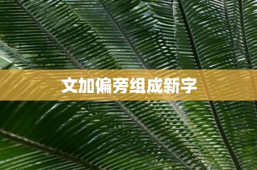 文加偏旁组成新字