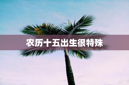 农历十五出生很特殊