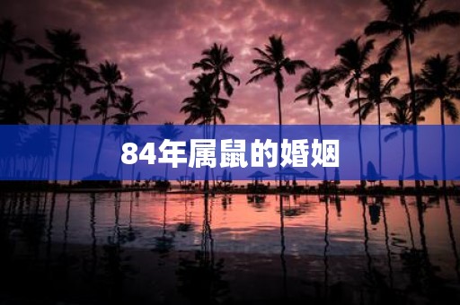 84年属鼠的婚姻