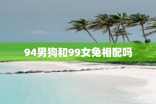 94男狗和99女兔相配吗