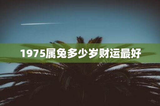 1975属兔多少岁财运最好