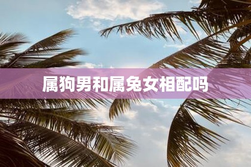 属狗男和属兔女相配吗