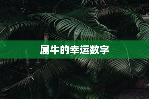 属牛的幸运数字