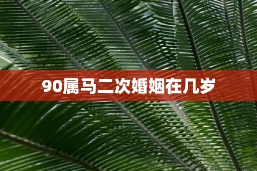 90属马二次婚姻在几岁