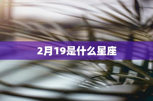 2月19是什么星座