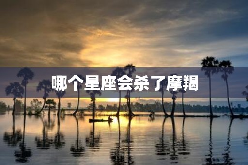 哪个星座会杀了摩羯