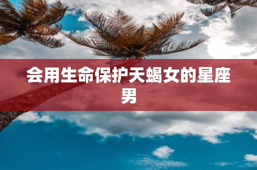 会用生命保护天蝎女的星座男